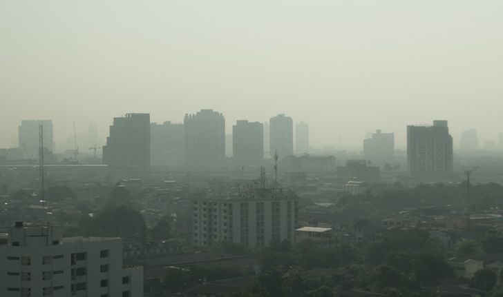 กรมควบคุมมลพิษชี้ฝุ่นละออง PM 2.5 ค่าลดลงจากเดิม แต่ยังมีผลต่อสุขภาพ