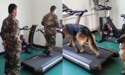 วิ่งไปด้วยกัน เผยคลิปการฝึกซ้อมของตำรวจจีนกับสุนัขคู่หู