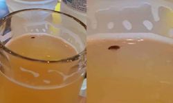 พูดมาได้! สาวเจอแมลงสาบในเบียร์สด ขอเปลี่ยนแก้วแต่โดนคิดเพิ่ม อ้างไม่ใช่แมลงของร้าน