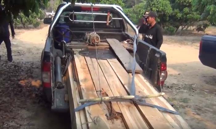 ตำรวจเร่งลากคอ จนท.รัฐสุดแสบ-ว่าจ้างคนงานลอบตัดไม้สักซุ่มสร้างบ้านพักกลางป่า