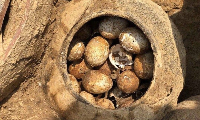 ตะลึง นักโบราณจีนขุดพบ “ไข่พันปี” ซุกไหสุสานโบราณที่เจียงซู