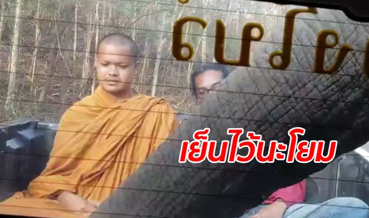 หลวงพี่แทบหยุดหายใจ "ช้างป่า" ตั้งด่านลอย งวงเฉียดหน้าคนนั่งท้ายรถกระบะ