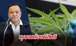 “อนุทิน” ยันลุยแก้กฎหมาย ให้ประชาชนทุกคนมีสิทธิในกัญชา