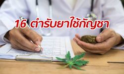 สาธารณสุข ออกราชกิจจาฯ รับรอง 16 ตำรับยา ใช้กัญชารักษาโรคได้