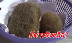 ผู้ใหญ่บ้านเจอ "อ้วกหมู" มูลค่าซื้อขายในตลาด 19 ล้าน รอผู้เชี่ยวชาญฟันธง