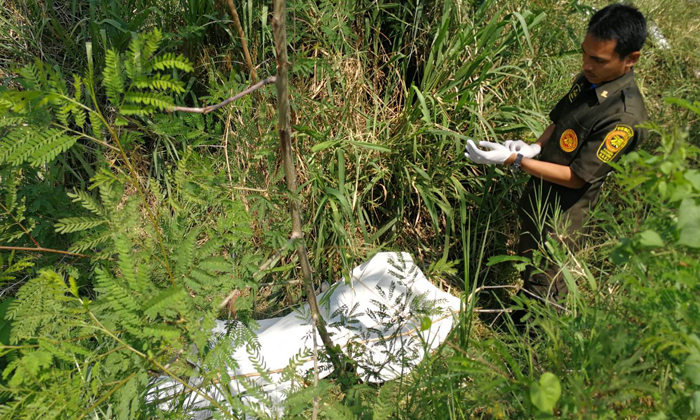 วอนหาญาติ พบศพหญิงนิรนามเป็นลมแดดนอนเสียชีวิตข้างทาง