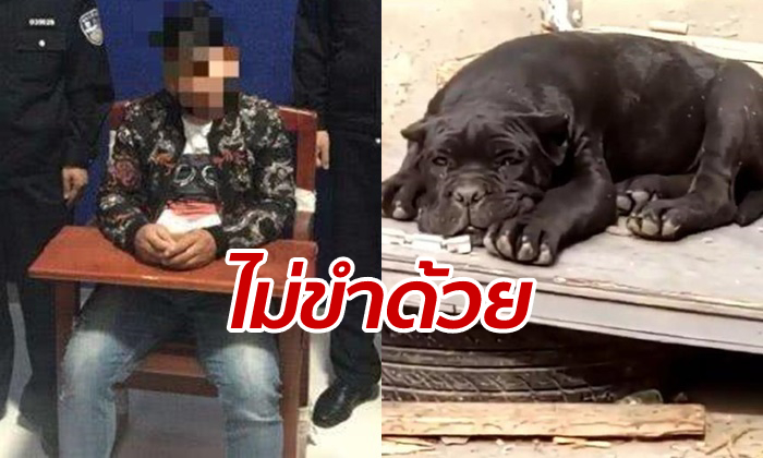 ชายจีนนอนคุก 10 วัน หลังตั้งชื่อสุนัขเพาะขายว่า “เทศกิจ”