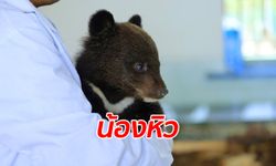 น้องรอดแล้ว! จีนช่วยชีวิตลูกหมีควายหิวโซ น่าเอ็นดูในอ้อมกอดเจ้าหน้าที่