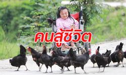สาวจีน “ไซส์เล็ก” ป่วยโรคกระดูกเปราะ นั่งรถเข็นไลฟ์ขายไข่ไก่