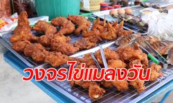 ไขข้อสงสัย หนอนตัวเป็นๆ มานอนยั้วเยี้ยอยู่ในไก่ทอดได้อย่างไร