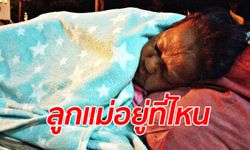 ยายตาบอดตามหาลูกพลัดพราก 17 ปี ยังเร่ร่อนนอนหนาว มีคนบอกว่าลูกสาวตายแล้ว