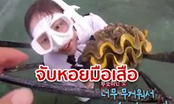 ดราม่าหอยมือเสือ! รายการเกาหลีบุกทะเลไทย จับสัตว์สงวน หวังทำอาหาร