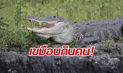 มันดุมาก! ผวาทั้งฟลอริดา จระเข้เขมือบกินคน 2 รายซ้อน สัปดาห์วันชาติ