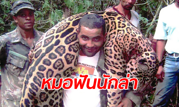 บุกจับแก๊งหมอฟัน ลอบล่าสัตว์ป่าสงวน คาดเสือจากัวร์ตกเป็นเหยื่อกว่า 1,000 ตัว