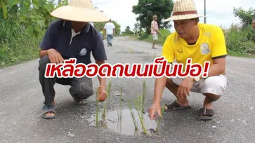 ชาวบ้านเหลืออด! ปลูกข้าวบนถนนเข้าหมู่บ้าน ประชดเป็นหลุมบ่อนานหลายปี