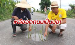 ชาวบ้านเหลืออด! ปลูกข้าวบนถนนเข้าหมู่บ้าน ประชดเป็นหลุมบ่อนานหลายปี