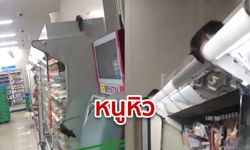 โซเชียลญี่ปุ่นผวา! คลิปฝูงหนูบุกกินสินค้าร้านสะดวกซื้อกลางกรุงโตเกียว ตอนไร้ลูกค้า