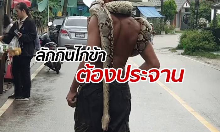 กระเจิงทั้งบาง! หนุ่มใหญ่นำซากงูพาดคอ เดินจ่ายตลาดสุดสะพรึง (มีคลิป)