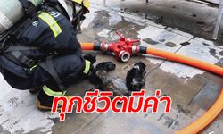 นักดับเพลิงปั๊มหัวใจหมาน้อย 5 ตัว ช่วยรอดตายจากกองเพลิง