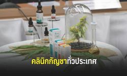 "สาธารณสุข" เตรียมเปิดคลินิกกัญชาใน 12 โรงพยาบาลทั่วประเทศ