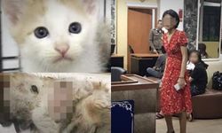 "ดีเจซัน" สาวทารุณแมว คดียังไปต่อ ตำรวจแจ้งข้อหาเพิ่มอีก