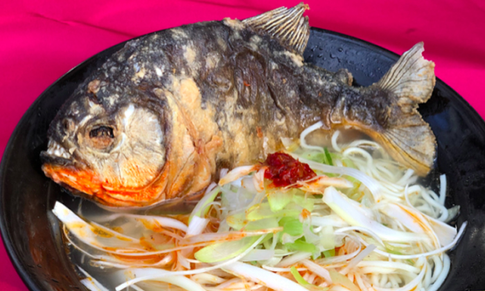 ญี่ปุ่นชวนเปิบพิสดาร "ราเมนปลาปิรันย่า" ขายแค่ 1,000 ถ้วย