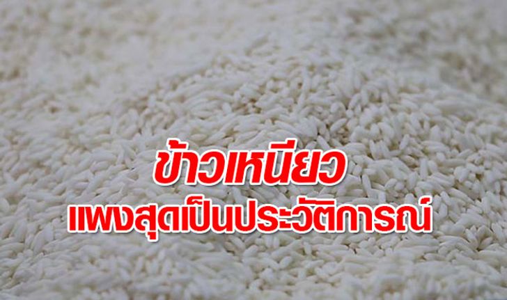 ข้าวเหนียวแพง 50 บาทต่อกิโลกรัม แซงหอมมะลิ