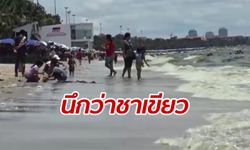 ชาวเน็ตแห่แชร์ "ทะเลบางแสนสีเขียว" เผยไม่ต้องตกใจเที่ยวได้ตามปกติ