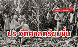 "ค้าทาส" ประวัติศาสตร์โหดร้าย ที่สหรัฐสอนในหลักสูตรให้วิพากษ์ ไม่ใช่โฆษณาชวนเชื่อ