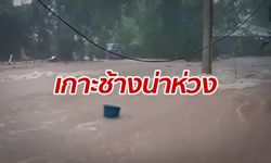 ฝนถล่ม "เกาะช้าง" ต่อเนื่อง 12 ชั่วโมง น้ำป่าถล่ม-สะพานไก่แบ้ข้ามไม่ได้