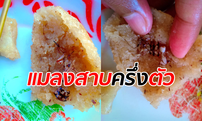 ลูกค้าอ้วกพุ่ง "ขนมไข่หงส์" ยัดไส้แมลงสาบ แม่ค้าลั่นถูกกลั่นแกล้งเพราะไม่แถมให้