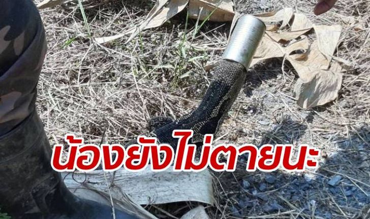 ฉันยังไม่ตาย! ตัวเงินตัวทองหัวติดกระป๋อง หายไปเป็นเดือน-โผล่ให้ช่วย