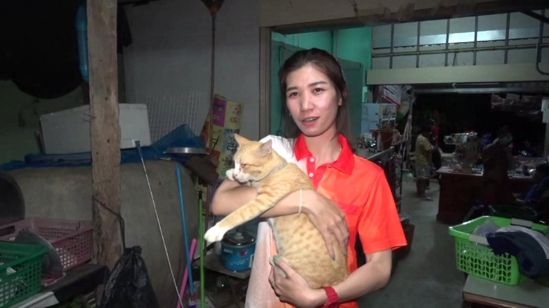 นางสาวนันทิกานต์ ลูกสาวเจ้าของบ้าน และ เจ้าส้ม