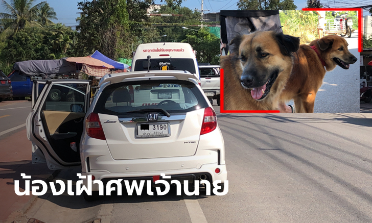 สลด ฝรั่งเสียชีวิตในรถเก๋งที่ยังสตาร์ทเครื่อง สุนัขพันธุ์ไทย 2 ตัว เฝ้าร่างไม่ห่าง
