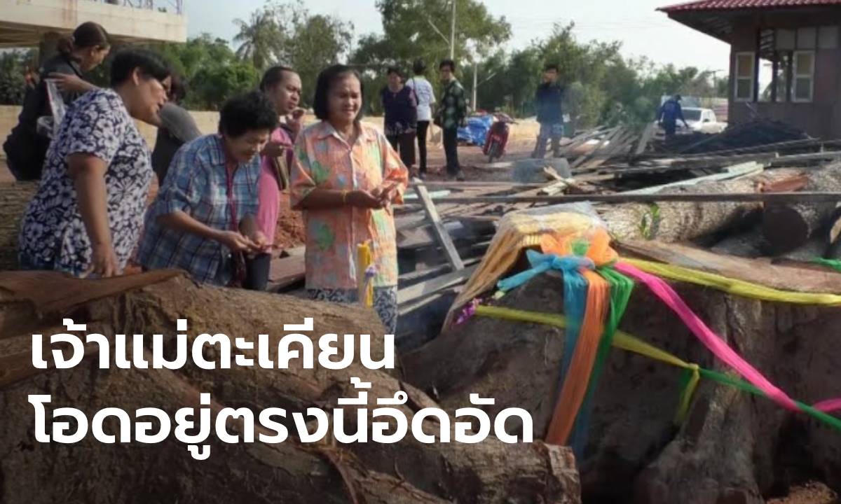 พลังศรัทธาย้าย "ตะเคียนตกน้ำมัน" เจ้าแม่เข้าฝันโอด "อยู่ตรงนี้แม่อึดอัด"