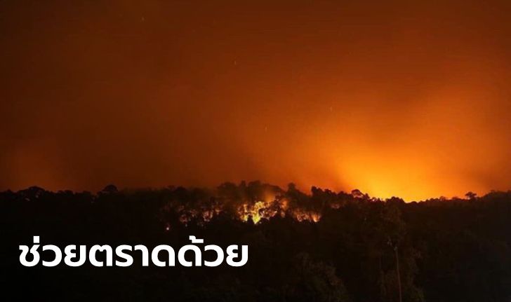 #Saveตราด ไฟไหม้ป่าลุกลามต่อเนื่อง 5 วัน ควันปกคลุมเมือง เสียงระเบิดดังไม่หยุด