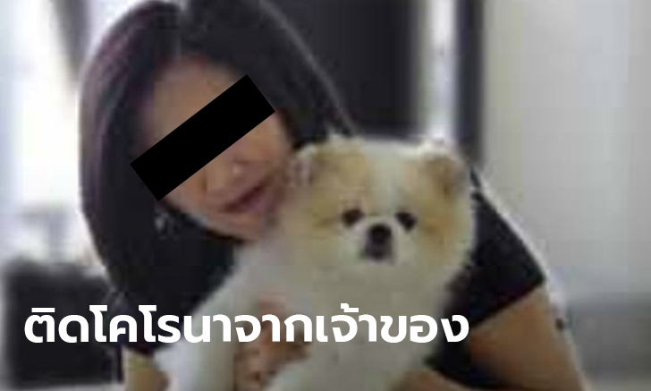โควิด-19: พบสุนัขในฮ่องกง ติดไวรัสโคโรนาจากเจ้าของ