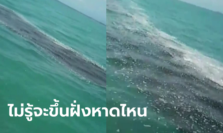 เปิดภาพสุดสะพรึง แพน้ำมันมหึมากลางทะเลอ่าวไทย ลุ้นหวยจะไปออกที่หาดไหน