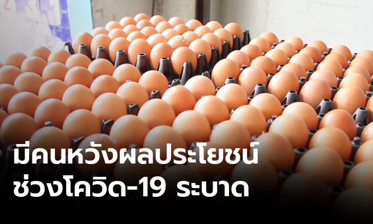 ผู้เลี้ยงไก่ไข่คาด สัปดาห์หน้าราคาปกติ