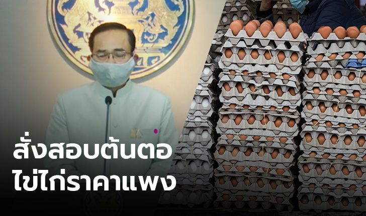 นายกฯ สั่งตรวจสอบ หาต้นตอราคาไข่ไก่แพง