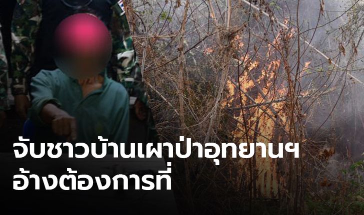 รวบชายวัย 64 เผาป่าอุทยานแห่งชาติ เขื่อนศรีนครินทร์เสียหาย1ไร่