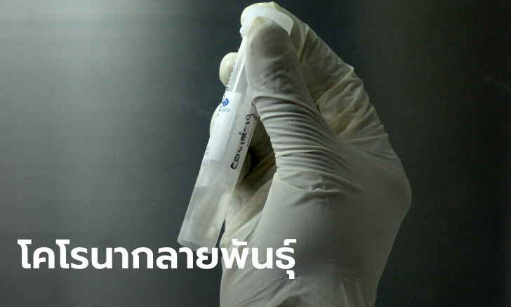 นักวิจัยถอดรหัสพันธุกรรม โควิด-19 จากผู้ป่วยในไทยทุกภูมิภาค แบ่งเป็นกลุ่มอู่ฮั่น-ยุโรป
