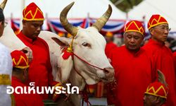 ปีนี้ไม่มีพระโค! กระทรวงเกษตรฯ เผย ได้รับพระบรมราชานุญาต งดพิธีแรกนาขวัญ