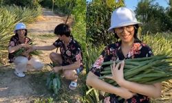 "พุฒ-จุ๋ย" พากันไปเก็บมะรุมที่ "ไร่หมาเมิน" บรรยากาศดี เรียบง่ายมาก