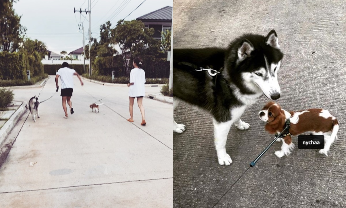 ช็อตฟิน "โตโน่-ณิชา" หวานอย่างต่อเนื่องกับภาพจูงน้องหมาวิ่งเล่นด้วยกัน
