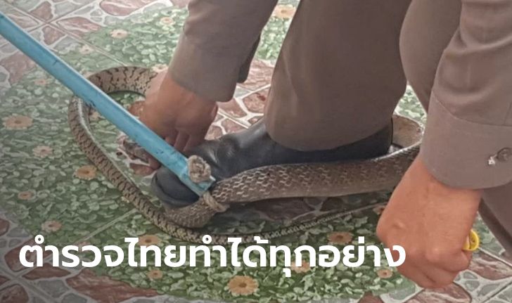 กู้ภัยรีบไปเก็บศพบ้านตรงข้าม ทิ้งให้ตำรวจจับงู ลุ้นแทบตายแต่สุดท้ายไม่เสียชื่อ!