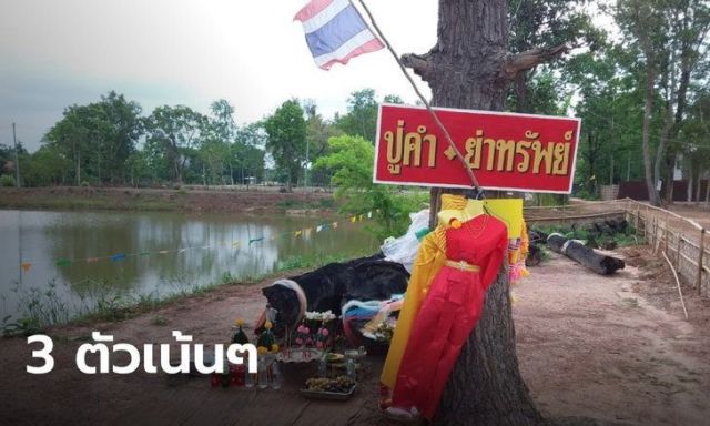 เลขเด็ดไม้ตะเคียน ปู่คำ-ย่าทรัพย์