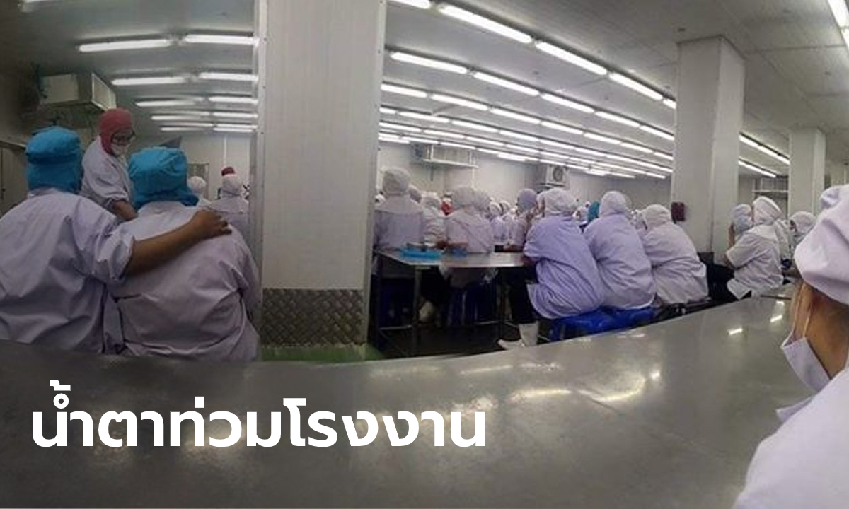 พิษโควิด! โรงงานประกาศปิดกะทันหัน 400 ชีวิตกอดกันร้องไห้