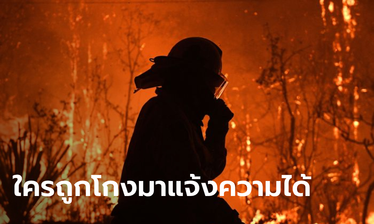 ตำรวจเผย ยังไม่มีประชาชนแจ้งความปมบริจาคช่วยไฟป่า ชี้หากถูกฉ้อโกงแจ้งความได้
