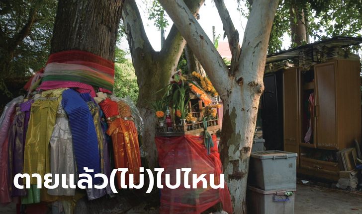 ผวาวิญญาณ "นางหลอด" นั่งใต้ต้นตะเคียนที่ประจำ ส่งเสียงเรียกเพื่อนๆ กลางดึก